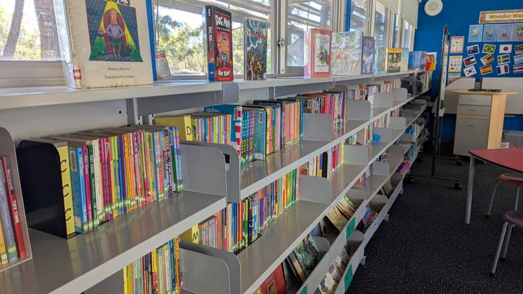 Image of a library shelf filled with books
