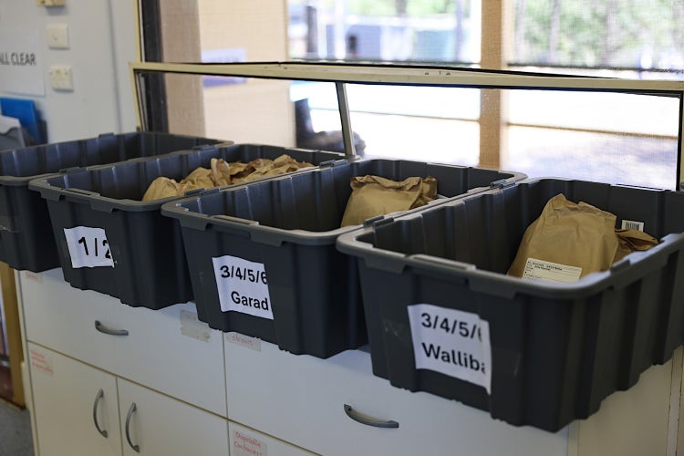 Tubs from the canteen holding each classes lunch orders